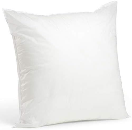 for "28x28 pillow insert" | Amazon (US)