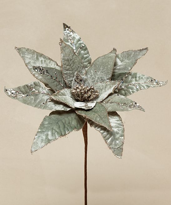 Green Heirloom Poinsettia Spray | zulily