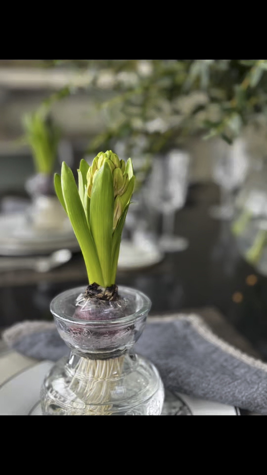 Winter tablescape inspo for after the holidays.  How do you set your table at this time of year?  Let us know



#LTKWatchNow #LTKSeasonal #LTKHome