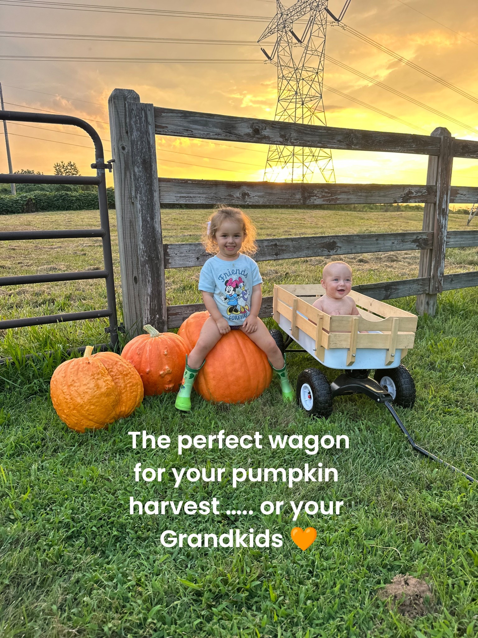 🍂 The little wagon that does it all — from hauling the biggest pumpkins at the patch to carrying the most precious cargo of all… grandbabies. 🧡 Perfect for fall days, family memories, and all your seasonal hauls!

#PumpkinPatchVibes #FallFavorites #SouthernRootsModernPlates #LivingTheDash #CarnationNation

#LTKHome #LTKHalloween #LTKKids