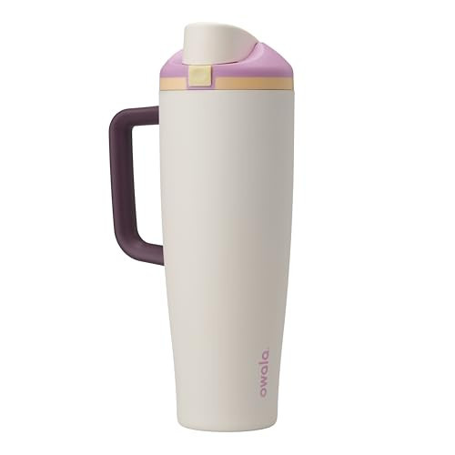 Owala FreeSip Tumbler Insulated Stainless Steel Water Bottle with Built-in Straw and Side Handle, For Travel, Work, School, and Sports, 40oz, BPA Free, Leak Proof, Deaybreak | Amazon (US)