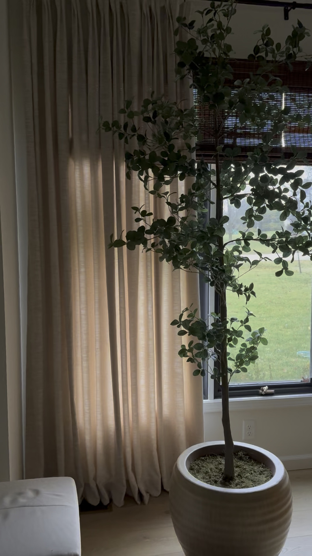 New faux tree home decor to liven up after Christmas 

Use code MCAFEEHOMELIVING for 10% off at McGee and co

#LTKHome #LTKFindsUnder100 #LTKStyleTip