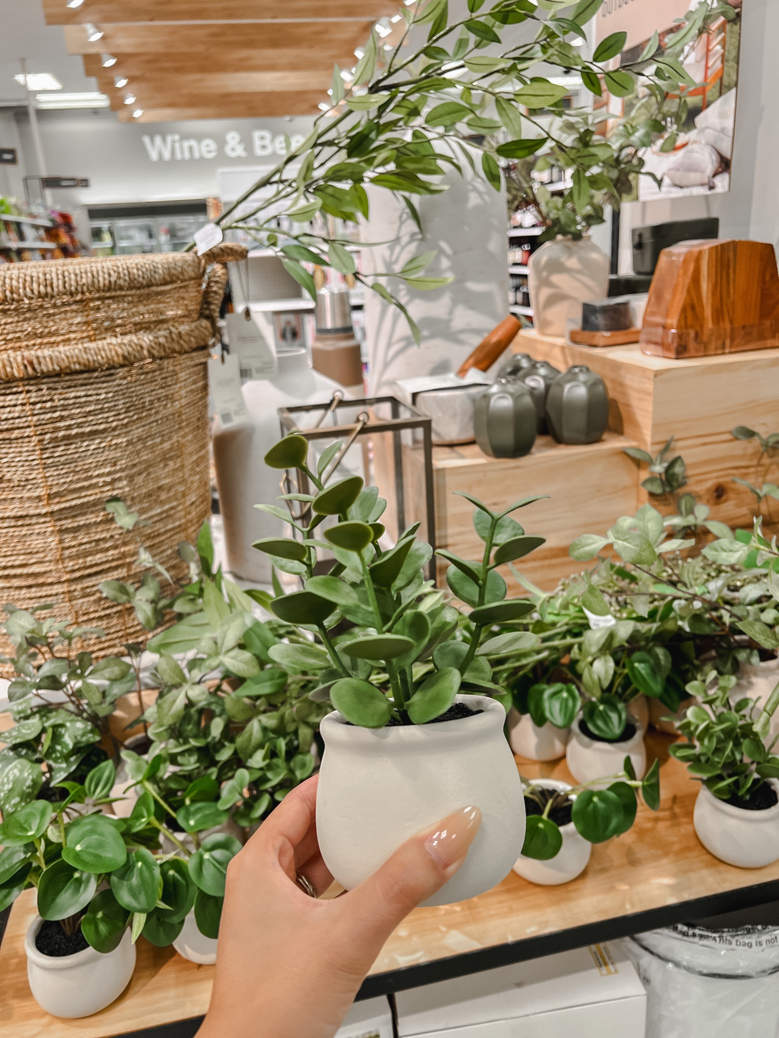 New faux plants by Hearth & Hand | Target Fall Collection | Home decor

#LTKfinds

#LTKSeasonal #LTKhome