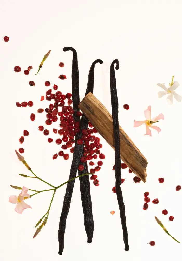 Vanilla Skin Hair & Body Fragrance Mist | Nordstrom