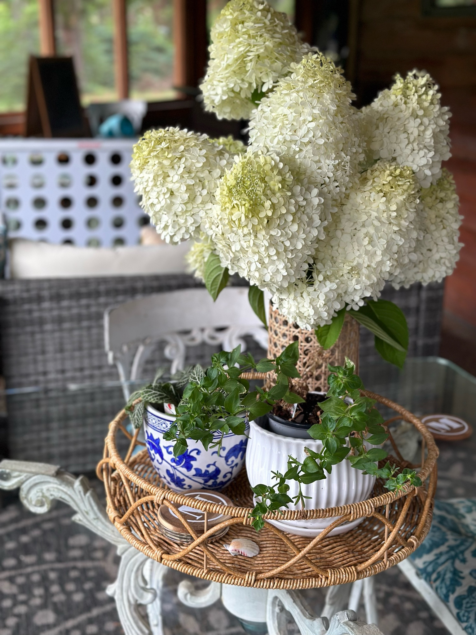 Favorite time of year = hydrangea season. 💙🤍💙🤍

#chinoiseriechic #blueandwhite #grandmillenialstyle #blueandwhitedecor


#LTKunder100 #LTKxPrimeDay #LTKhome