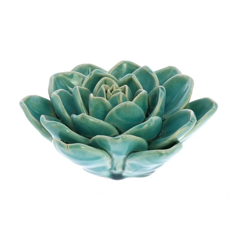 Cortright Ceramic Succulent | Wayfair North America