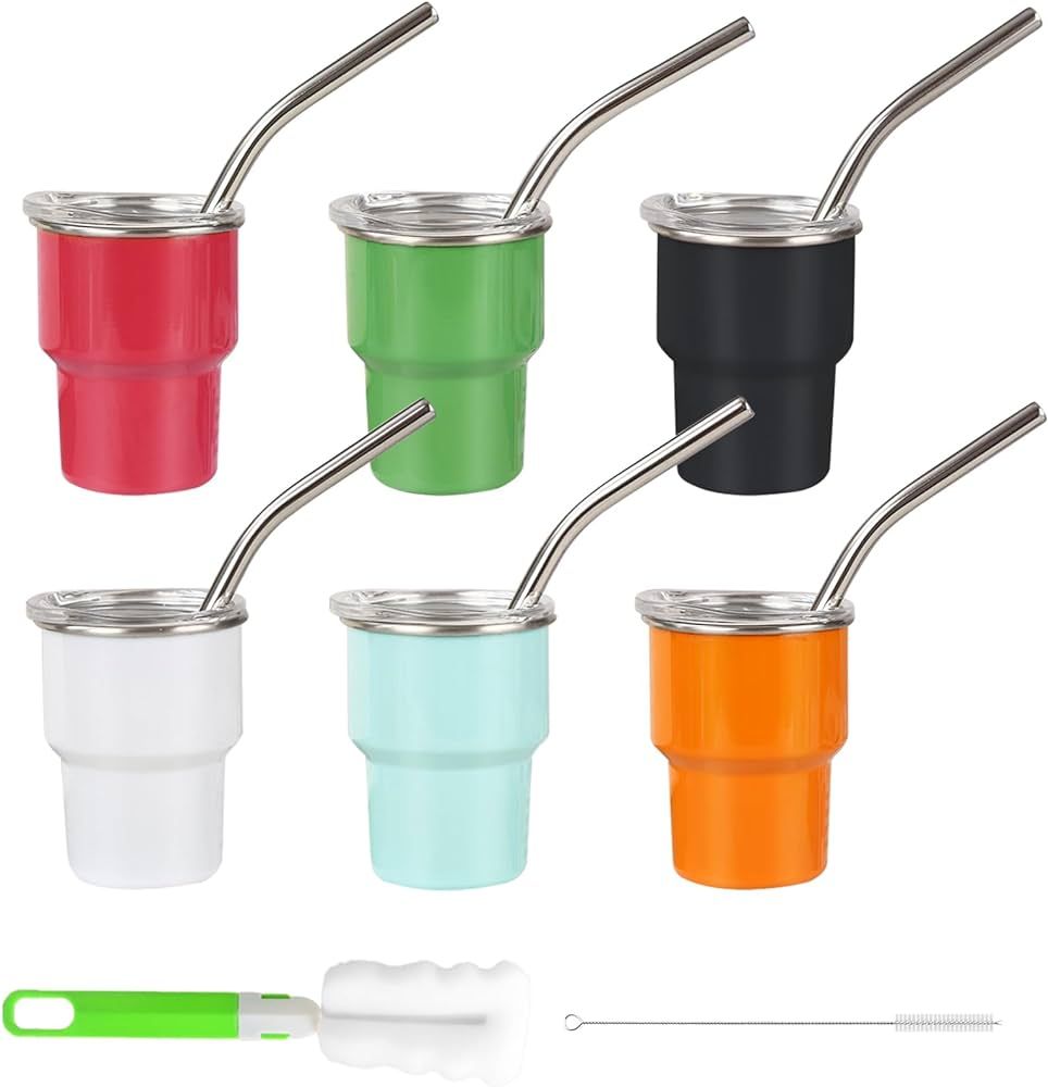 3oz Mini Tumbler Shot Glass with Lid and Straw, 6Pack Stainless Steel Shot Glasses Set with 2 Bru... | Amazon (US)