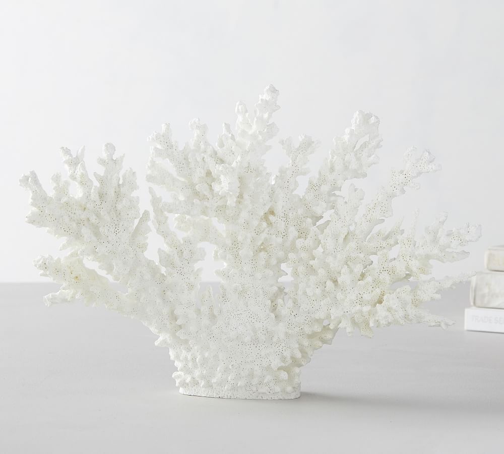 White Spike Coral | Pottery Barn (US)