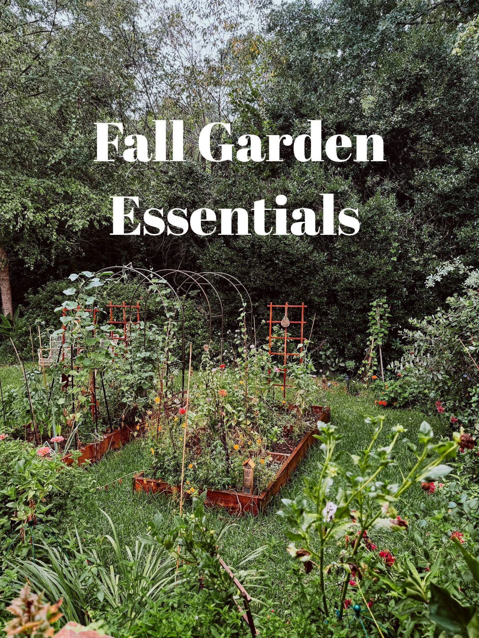 It’s time to think about those fall garden plans! Grab my favorites on my LTK! #fallgarden #garden

#LTKHome #LTKSeasonal
