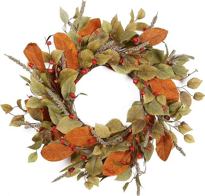 YNYLCHMX 20" Fall Wreath for Front Door, Farmhouse Autumn Wreath with Berry for Windows, Bedroom,... | Amazon (US)