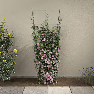 72 in. H Ivy Green Metal Trellis | The Home Depot