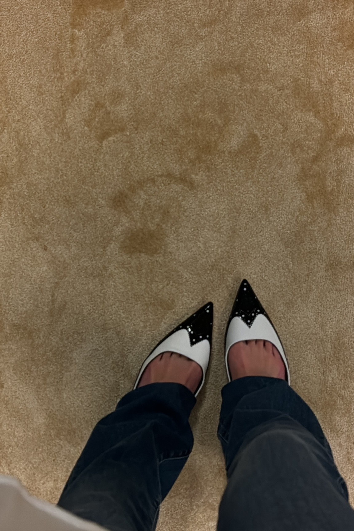 tuxedo kitten heels! 

#lagence #kittenheel #tuxedo 

#LTKStyleTip #LTKU #LTKSaleAlert