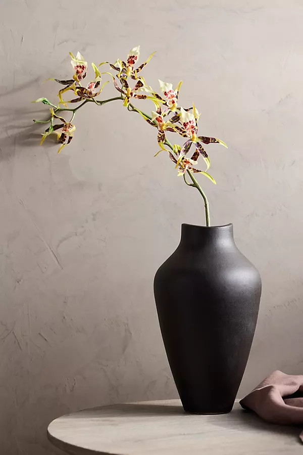 Faux Orchid Spray | Anthropologie (US)