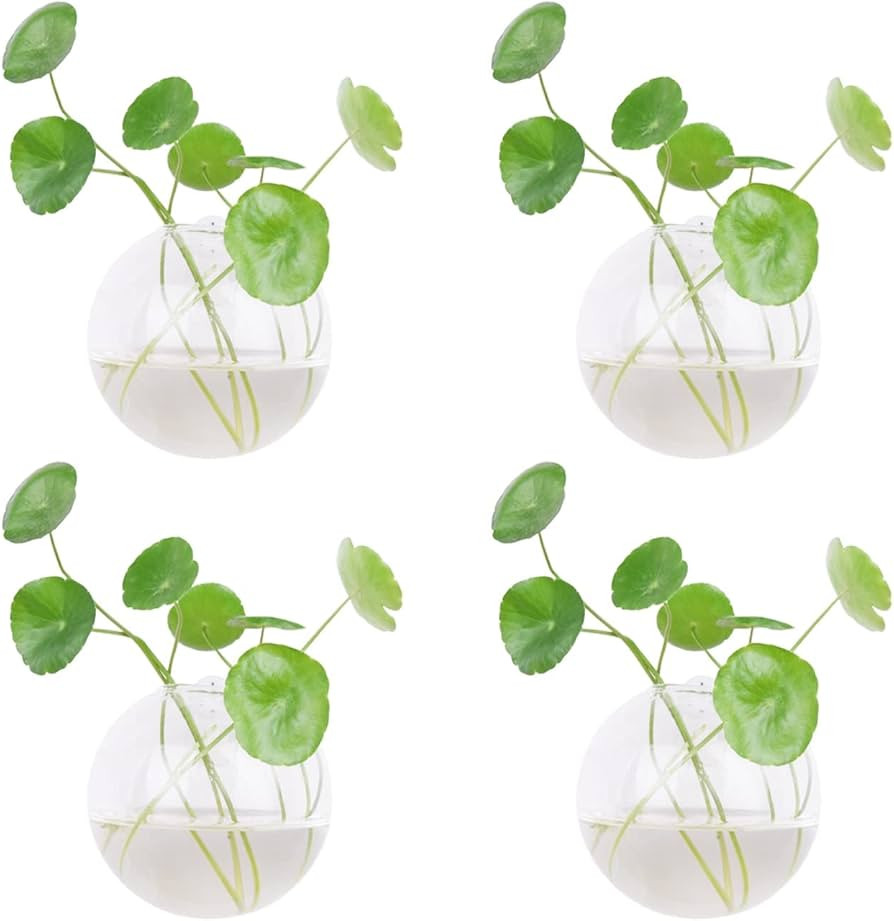 4 Pcs Glass Wall Hanging Planter Terrariums,Hanging Wall Vases for Plants Indoor,Glass Plant Cont... | Amazon (US)