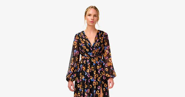 Floral-Print Pleated Chiffon Long A-Line Gown In Black Multi | Adrianna Papell