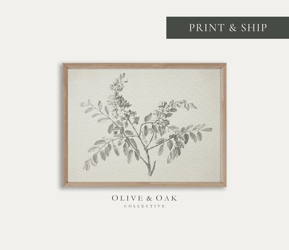 MAILED Art Print / Neutral Branch Sketch Fine Art Print / | Etsy Canada | Etsy (CAD)