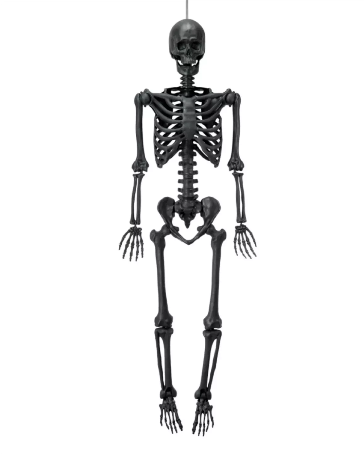 Halloween Plastic Posable Human Skeleton Decoration, Bone Color, 5FT,  3.5lbs, by Way To Celebrate