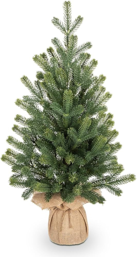24" Artificial Christmas Tree Fake Small Fir Tree for Home Farmhouse Tabletop Mantel Windowsill H... | Amazon (US)