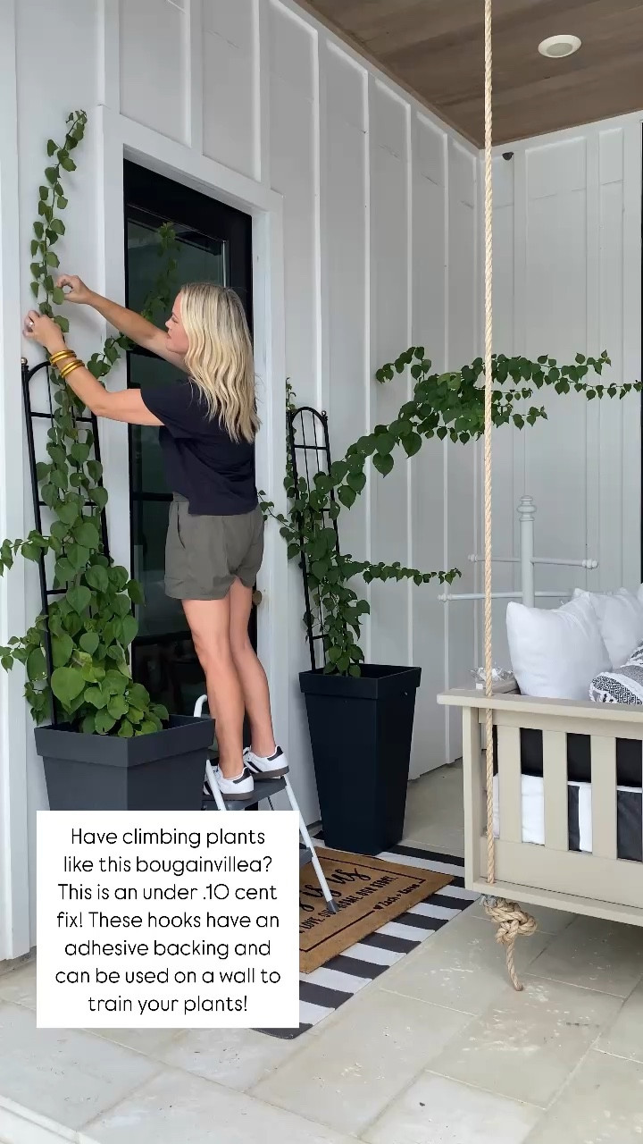 I use these under .10 cent plant hooks to help guide my bougainvilleas! 

Spring / spring home / plant / planter / doormat / rug / outdoor rug / porch daybed / Polywood / porch swing 

#LTKOver40 #LTKSeasonal #LTKHome