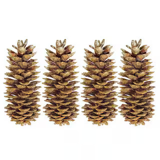 12 in. Gold Sparkle Tip Dried Natural Sugar Pinecones (Set of 4) | The Home Depot