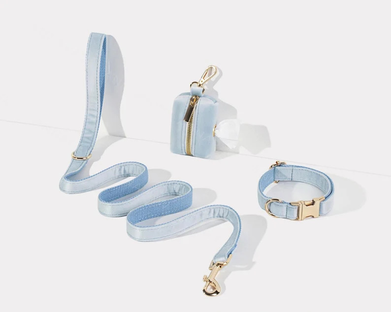 Custom Blue Velvet Dog Collar Leash and Poo Bag Dispenser,luxurious Puppy Collar Leash Set,handma... | Etsy (US)