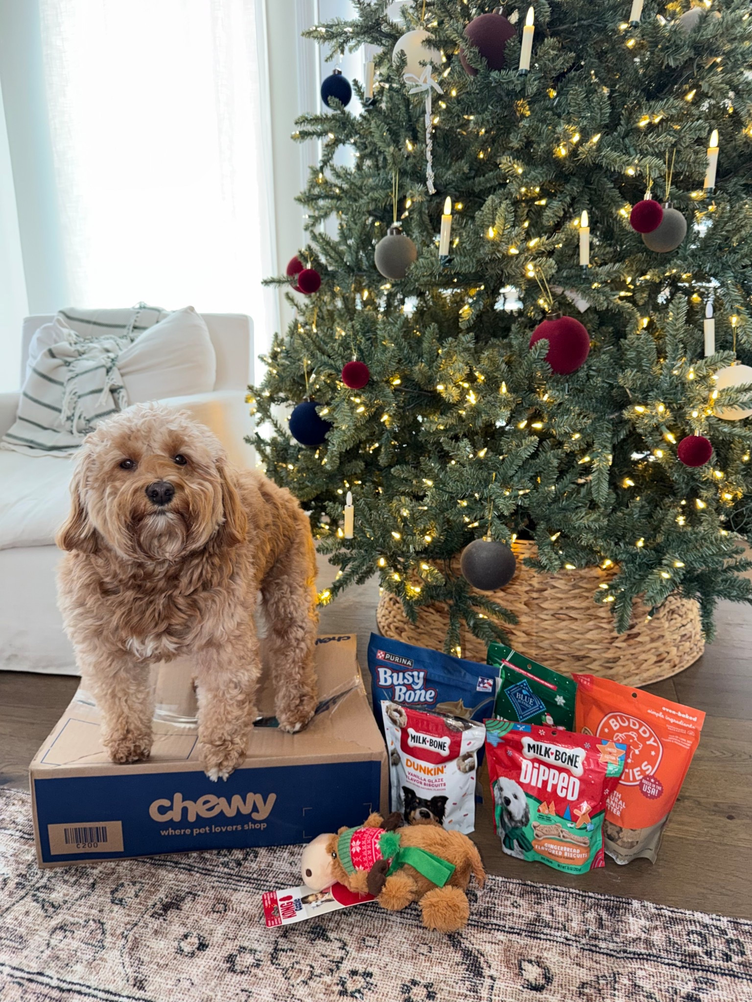 Chewy cyber deals are live. Up to 50% off select toys, beds, and essentials + Buy 2, Get the 3rd Free. @chew #chewypartner 