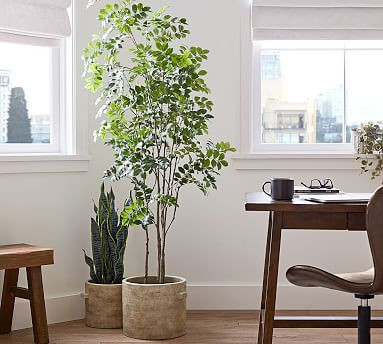 Faux Green Leaf Tree | Pottery Barn (US)