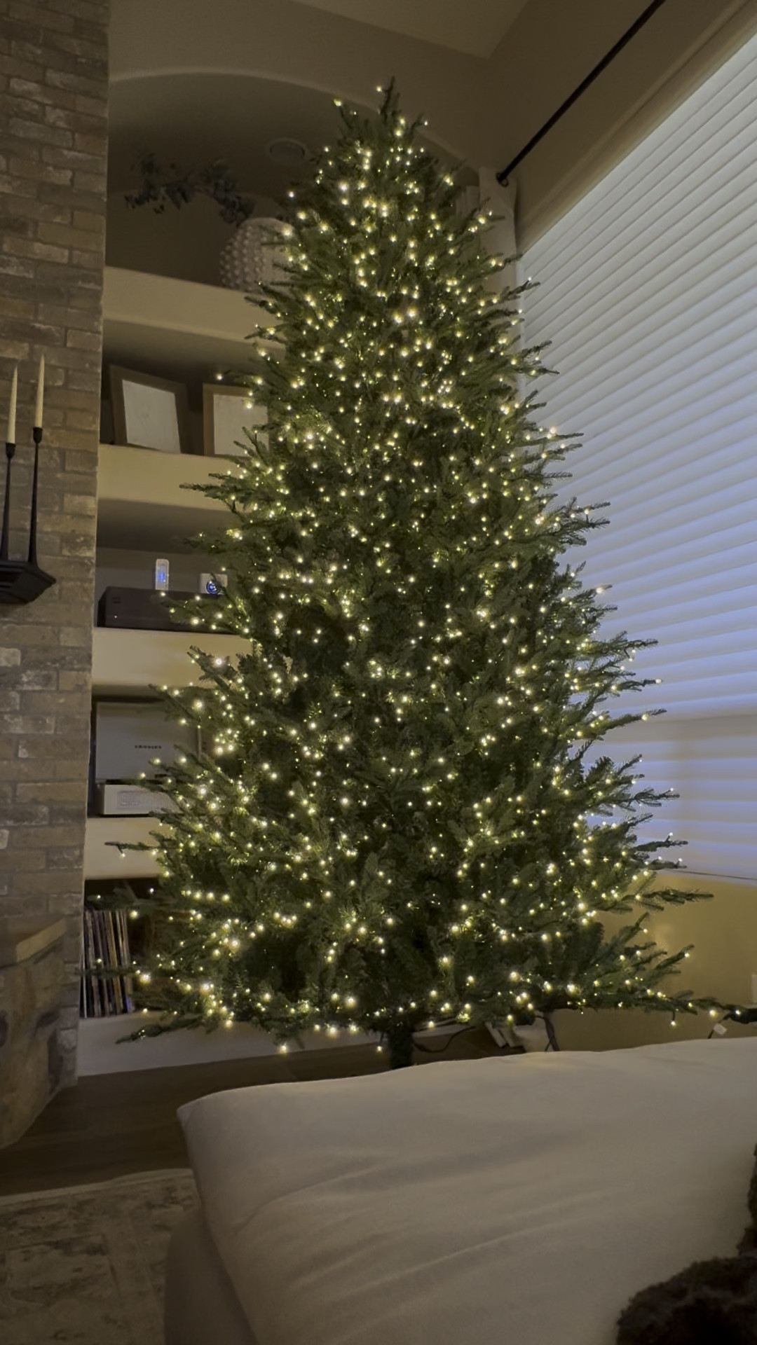 Viral twinkling tree 
Home Depot 
Christmas tree 
Grand Duchess and alt option 
Comes in 7 9 and 12
Multi color light or white light 

#LTKSeasonal #LTKHoliday