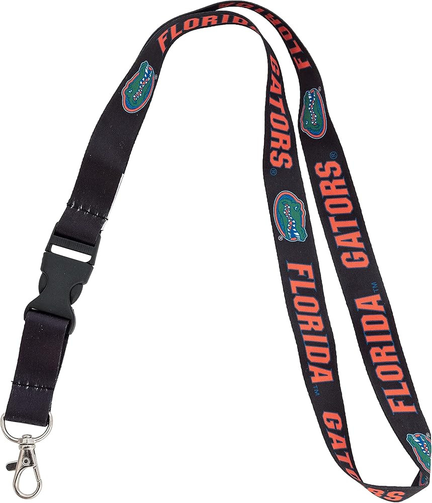 Desert Cactus University of Florida Lanyard Gators Car Keys ID Badge Holder Keychain Detachable B... | Amazon (US)