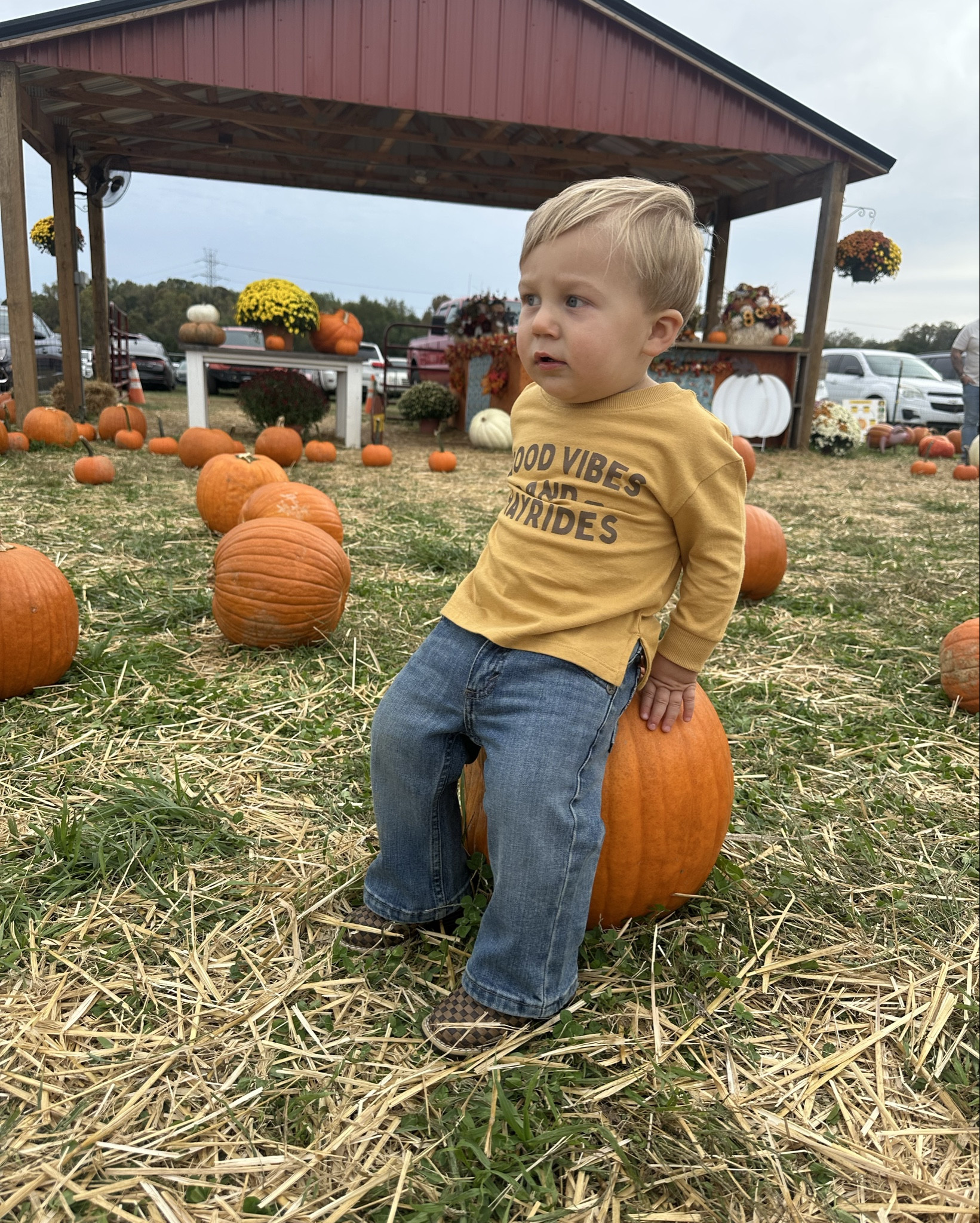 All toddler boy clothing 

#LTKSeasonal #LTKKids #LTKBaby