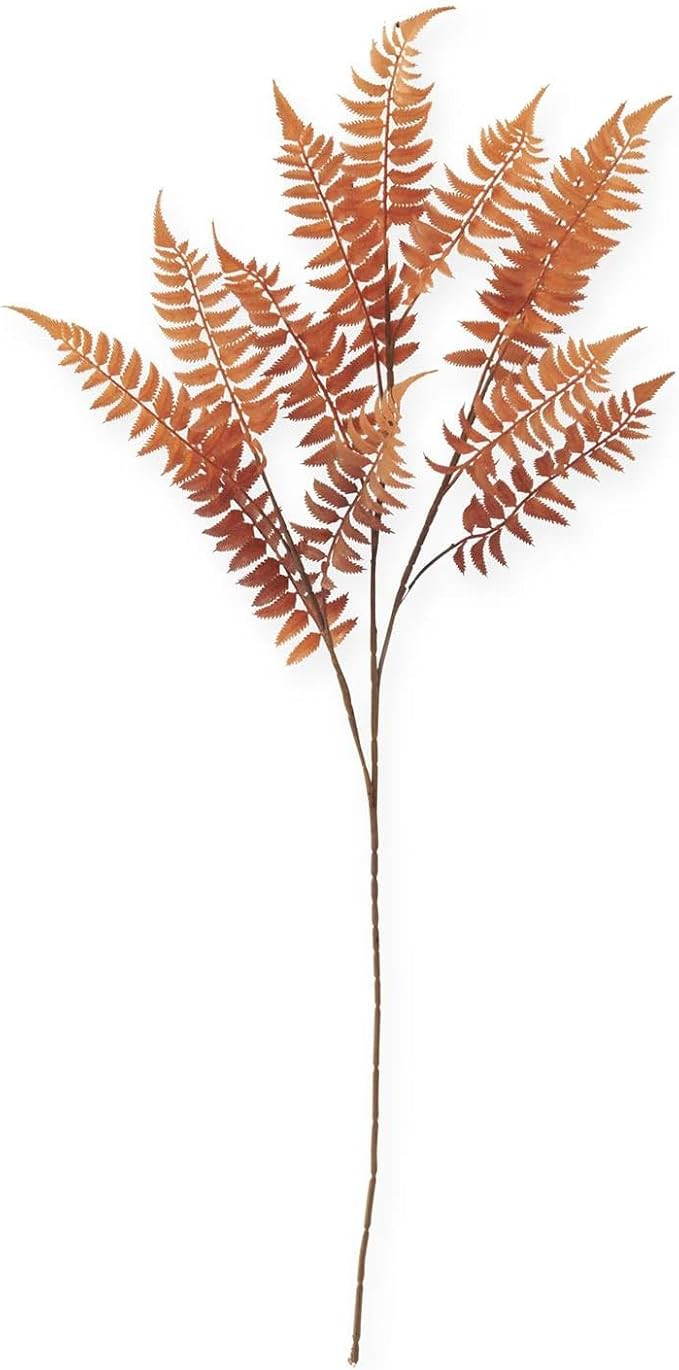 Copper Lady Fern Spray | Amazon (US)