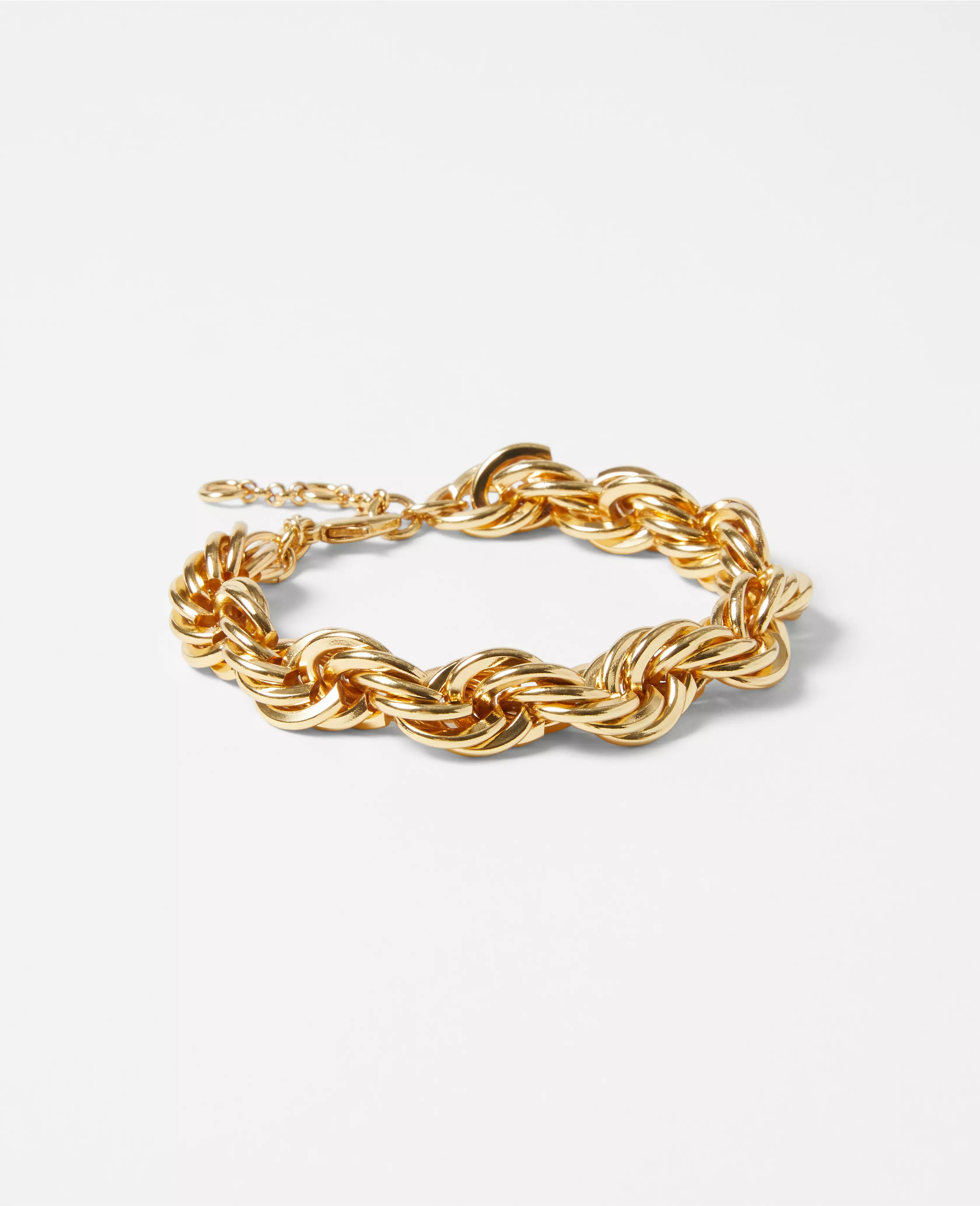 Twisted Rope Chain Bracelet | Ann Taylor (US)