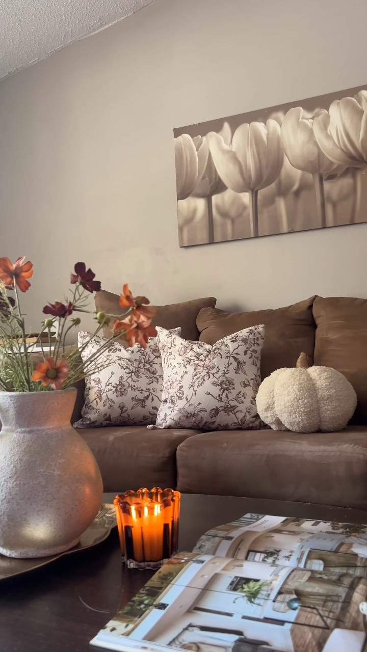 Amazon Fall Pillow Covers 🍂

#falldecor #pillowcovers #homedecor

#LTKSaleAlert #LTKFindsUnder50 #LTKHome