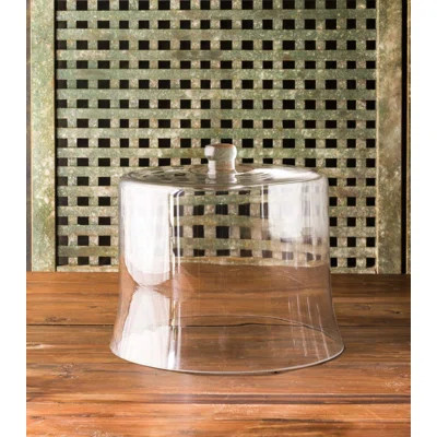 Estate Glass Cloche | Wayfair North America