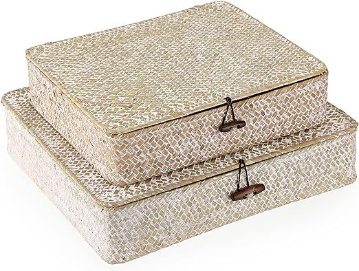 Hipiwe Set of 2 Flat Woven Wicker Storage Bins with Lid Natural Seagrass Basket Boxes Multipurpos... | Amazon (US)