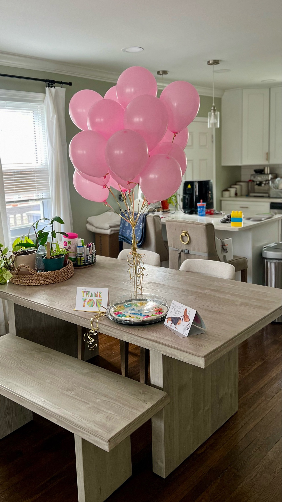 West Elm Santa Rosa Driftwood Dining Table + Bench on sale 