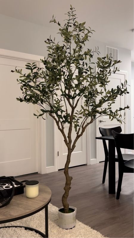 Faux olive tree
Olive tree 
Indoor olive tree
Indoor plant 
Home decor 

#LTKfindsunder100 #LTKsalealert #LTKhome