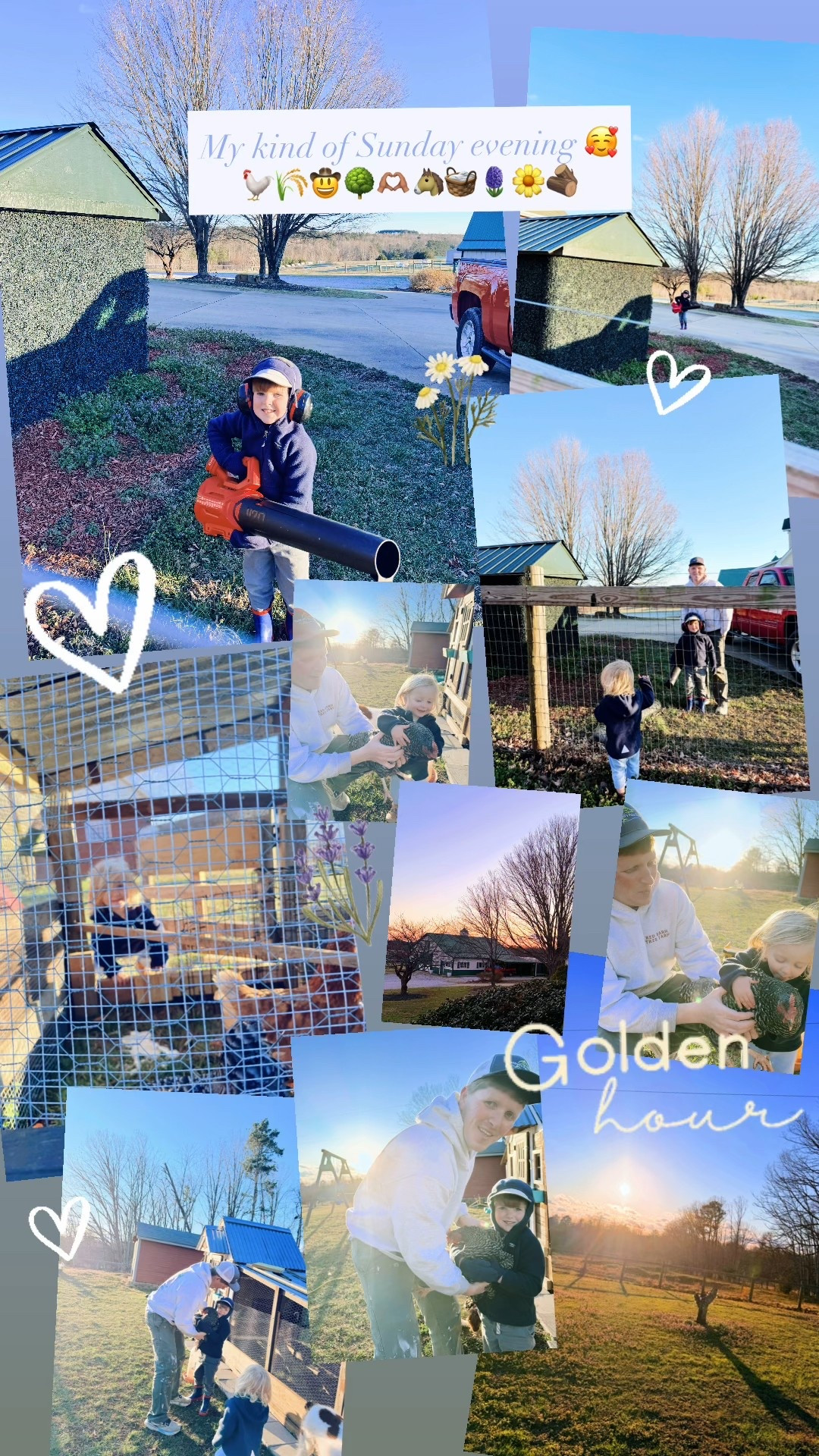 My kind of Sunday evening with alllll my boys🥰🐓🌾🤠🌳🫶🏽🐴🧺🪻🌼🪵