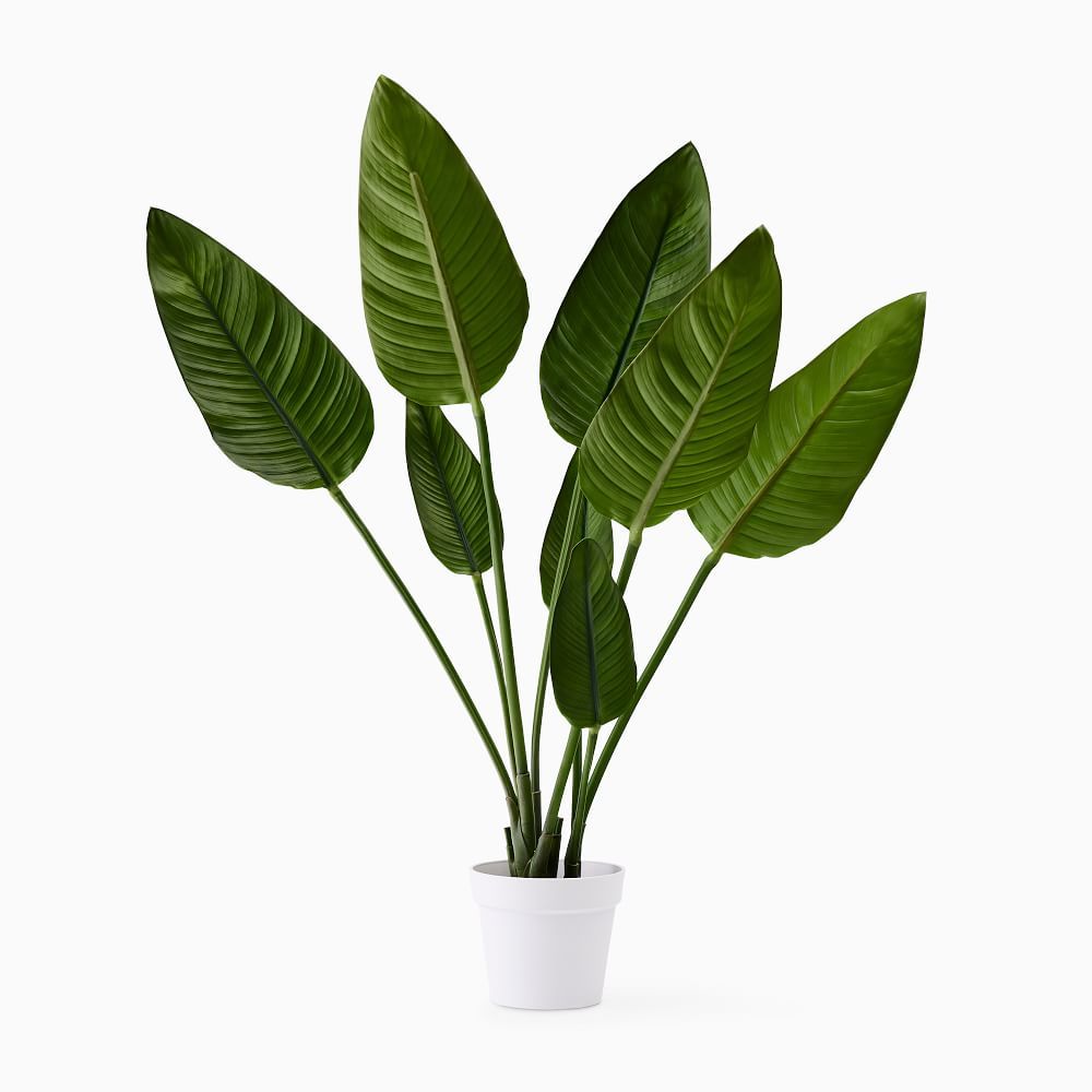 Faux Potted Bird of Paradise Plant, 4' | West Elm (US)