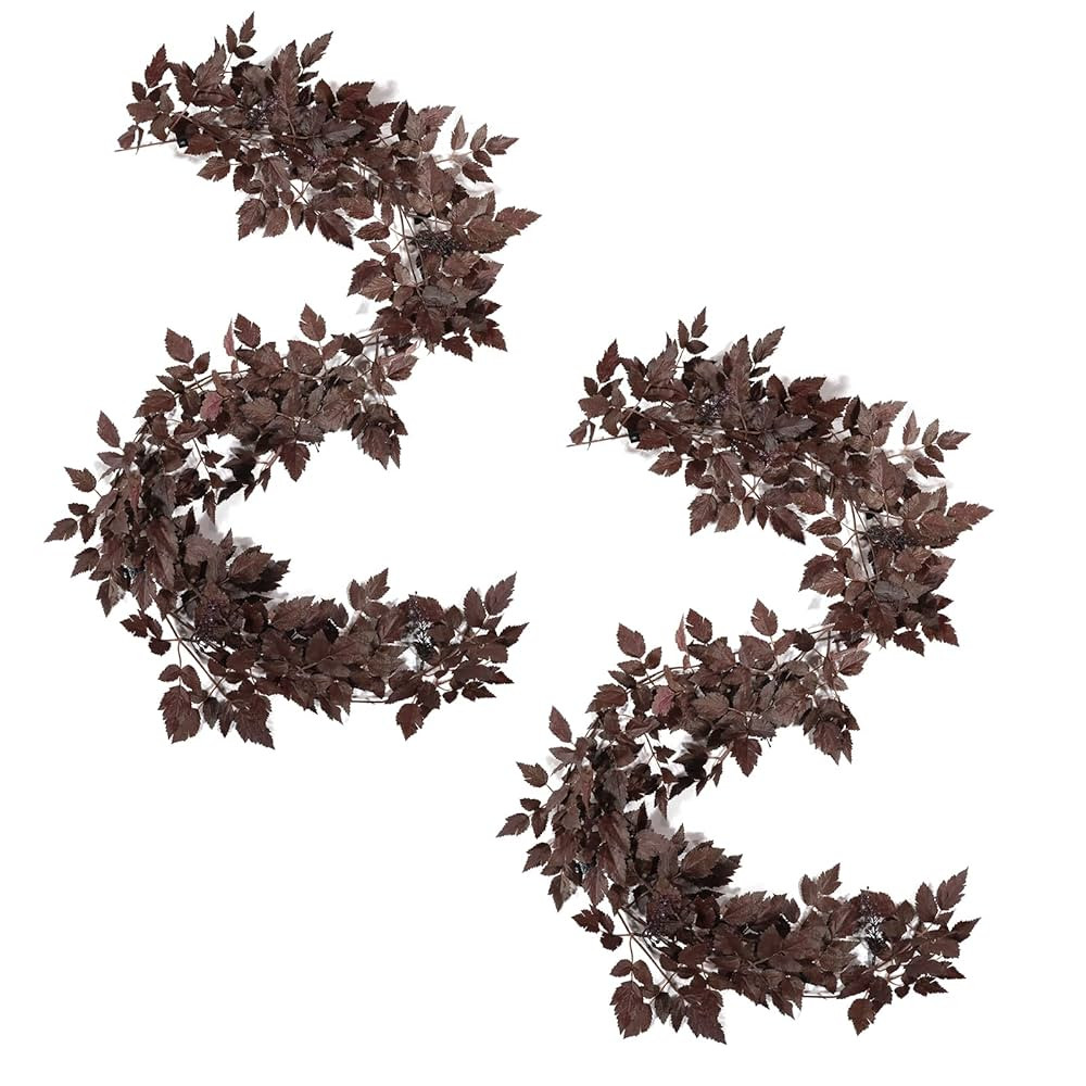 WBHome Artificial Cimicifuga Seeded Garland 6Ft - 2 Pack | Amazon (US)