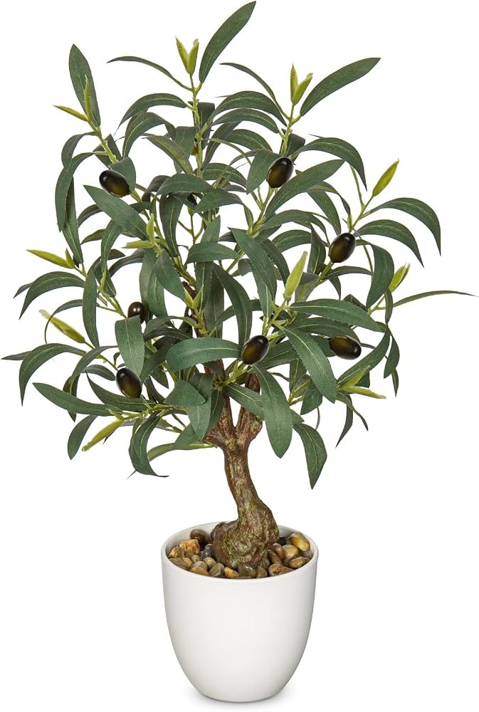 Briful 17.7 Inch Artificial Olive Tree in White Pot for Tabletop Decor | Amazon (US)