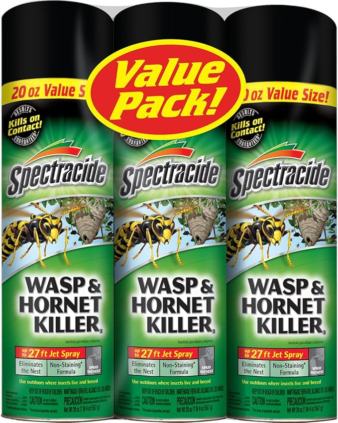Spectracide Wasp and Hornet Killer Aerosol, 20-Ounce, 3-Pack | Amazon (US)