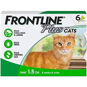 Frontline Plus Flea & Tick Spot Treatment for Cats, over 1.5 lbs | Chewy.com