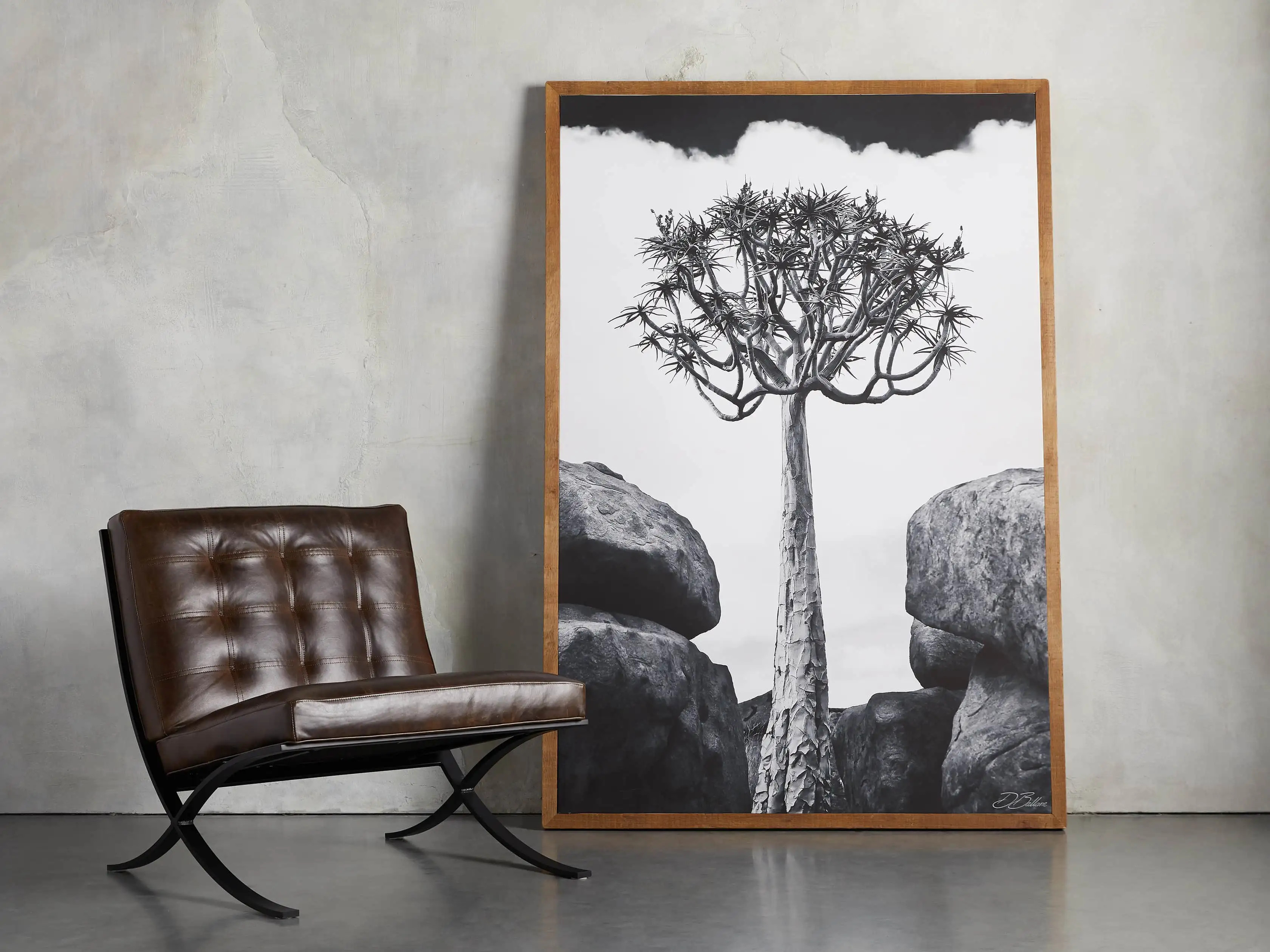 Aloidendron Framed Print | Arhaus