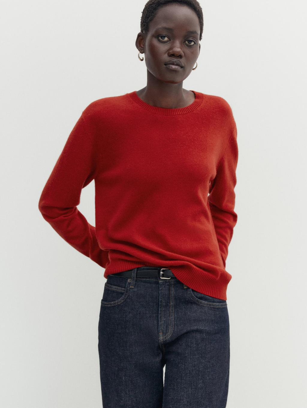 100% cashmere crew neck sweater | Massimo Dutti US