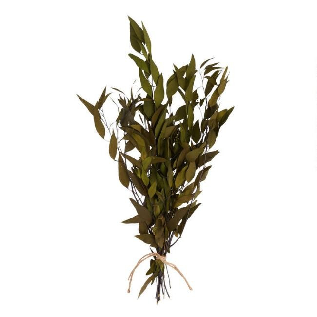 Dried Olive Green Willow Eucalyptus Bunch | World Market
