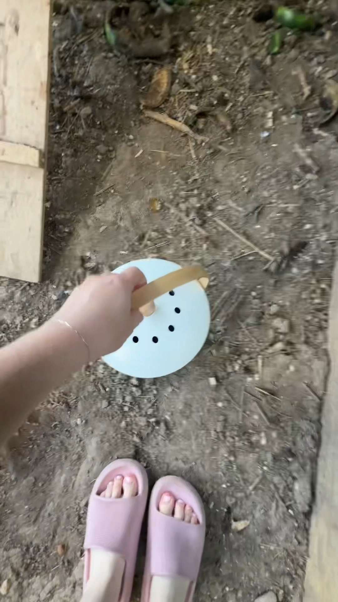 Indoor compost bin 

#LTKHome #LTKPets