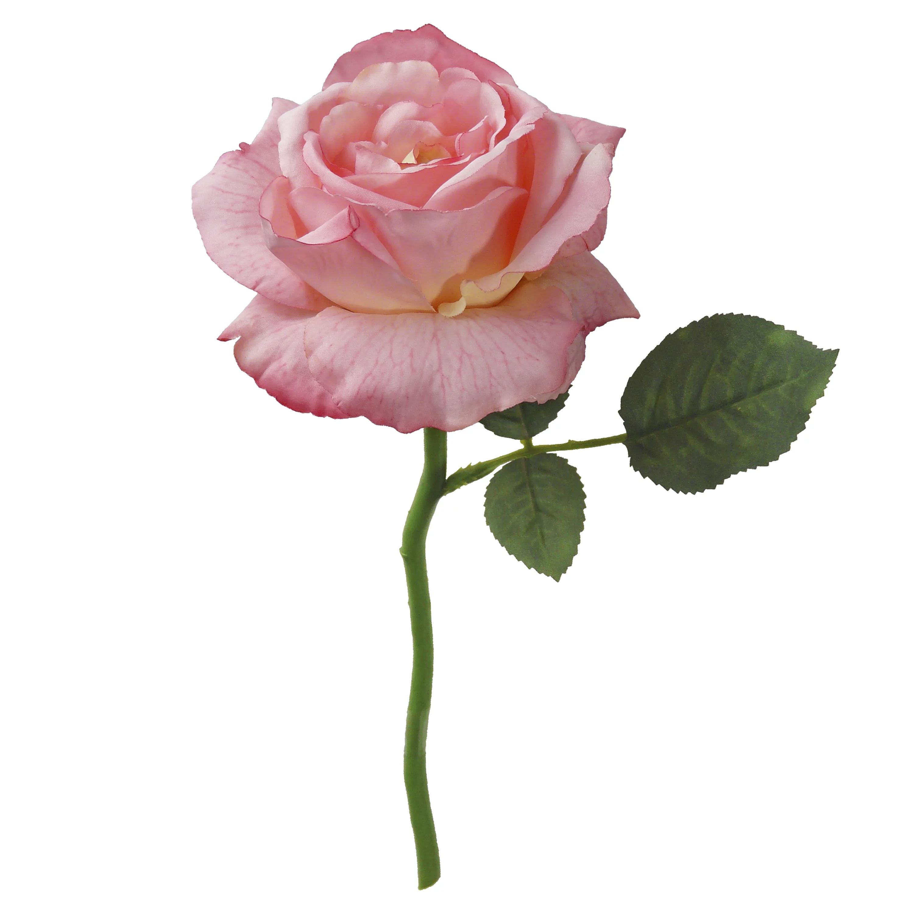 12-inch Artificial Silk Pink Large Single Rose Short Stem, for Indoor Use, by Mainstays | Walmart (US)