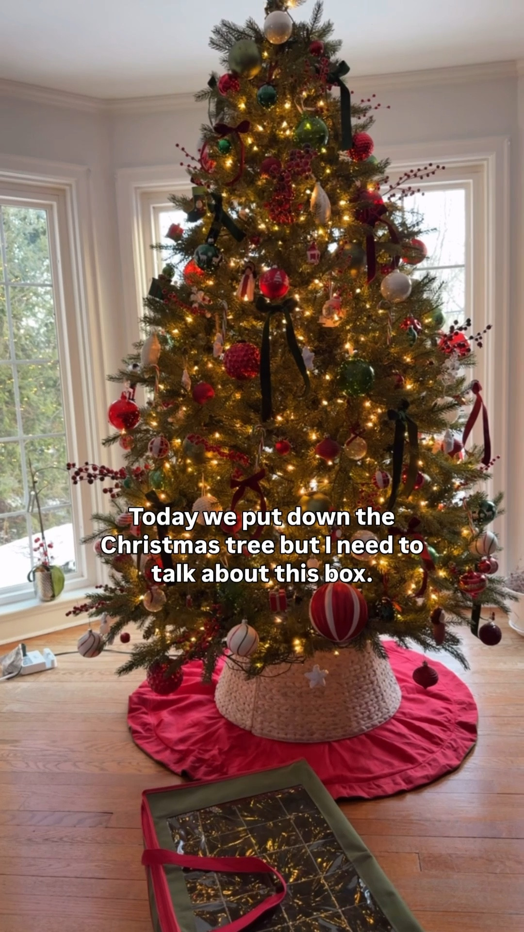 Holiday Storage That Saves Time, Space & Ornaments. No More Broken Ornaments or Messy Christmas Storage. 

If you’re packing away Christmas, don’t skip this.
These ornament + tree storage bags protect everything, save space, and make next year SO much easier.
One of those “why didn’t I buy this sooner” home finds 🎄✨ These storage bags keep everything organized, protected, and stress-free for next year.

	•	#LTKHome
	•	#LTKHoliday
	•	#LTKFinds
	•	#HomeOrganization
	•	#ChristmasDecor
         •	Christmas ornament storage
	•	Ornament storage box
	•	Shatterproof ornament storage
	•	Holiday decor organization
	•	Christmas storage solutions
	•	Tree storage bag
	•	Christmas tree storage bag
	•	Artificial tree storage
	•	Holiday storage must-haves
	•	Home organization finds
	•	Seasonal decor storage
	•	Space-saving storage
	•	Garage storage solutions
	•	Attic storage organization
	•	Holiday prep essentials


#LTKSeasonal #LTKU #LTKHome