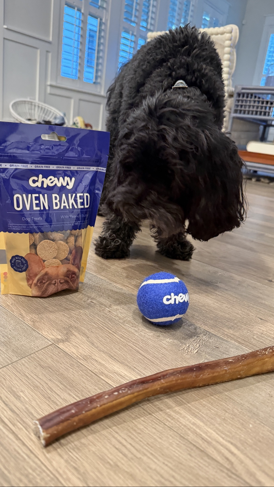 Duffy loves Chewy Deliveries 💙 
#sponsored 
We love how easy it is to get all of Duffy’s favorite food, treats, toys and even his monthly heart worm and tick prevention meds sent right here and quickly.

#LTKmomlife